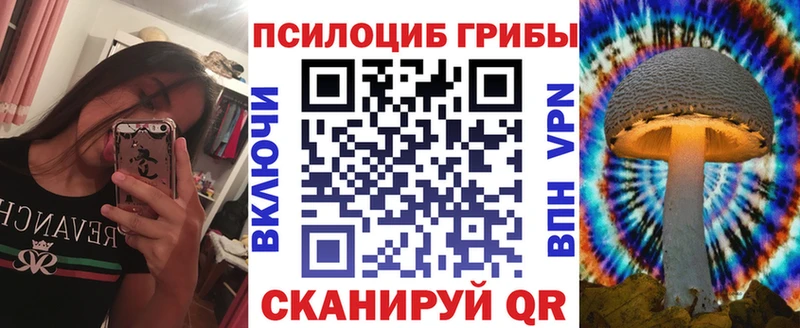 blacksprut онион  Александровское  Галлюциногенные грибы ЛСД 
